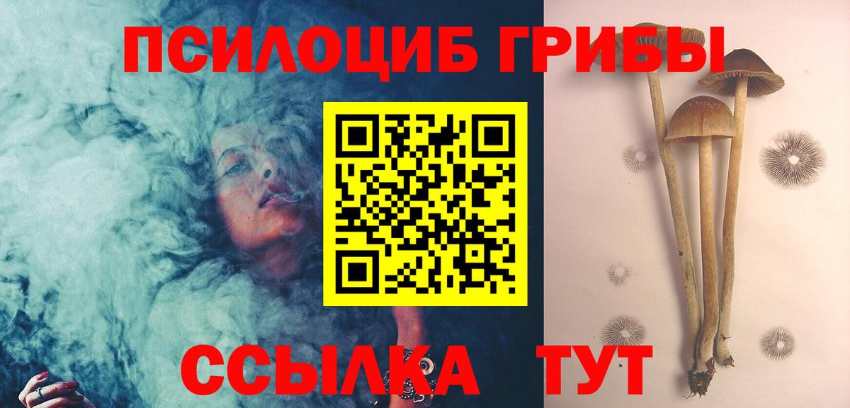 Шахты  Галлюциногенные грибы прущие грибы  Вход с VPN  Галлюциногенные грибы прущие грибы 